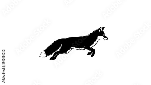 black fox running illustration, wildlife vector