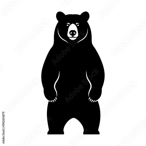 black bear standing on two legs, silhouette