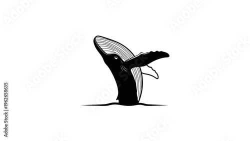 black whale jumping out of water, vector illustration