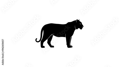 black panther standing profile view