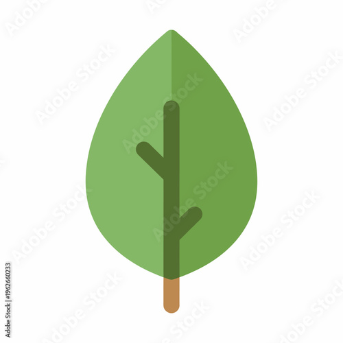 An isolated, vibrant, green leaf illustration on a solid background, showcasing a fresh, organic design