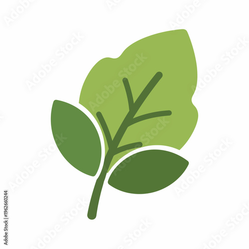 A captivating close-up of a fresh green leaf, showcasing its intricate details. The vibrant colors evoke a sense of natural beauty and freshness.