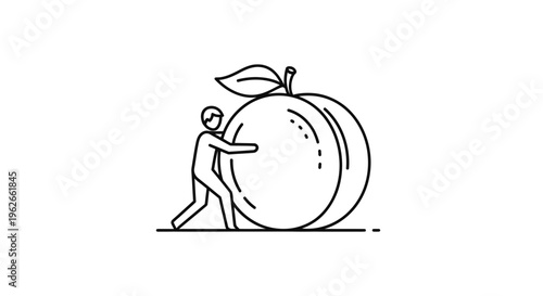 Determined individual exerting effort to push a remarkably large peach, symbolizing agricultural