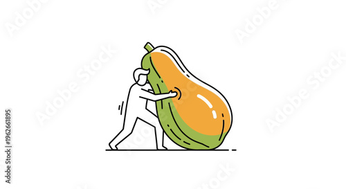 Determined individual moving a colossal ripe papaya highlighting fruit cultivation effort