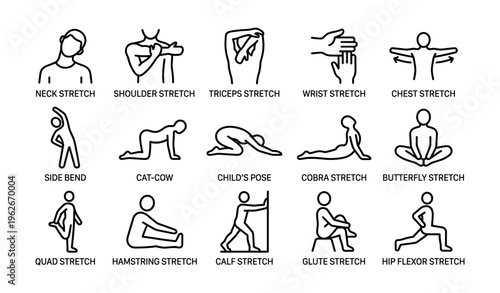 Illustrated guide to 14 essential stretching exercises for full body flexibility