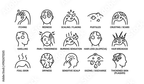 Common scalp and skin conditions illustrated with symptoms