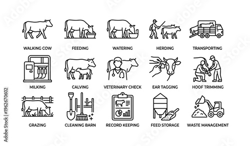 Farm animal management and care icons: feeding, milking, veterinary, and more