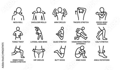 Illustrated guide to 15 stretching exercises for flexibility and warm-up
