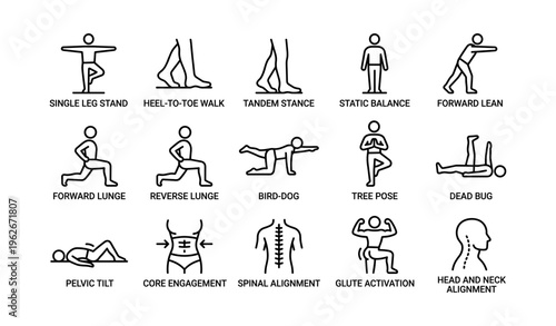Balance and stability exercises: illustrations of postures and movements