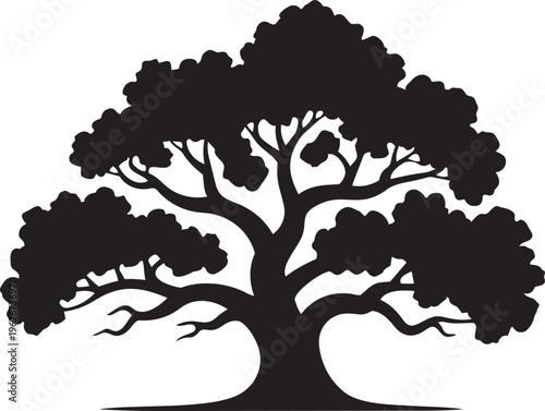 Large Spreading Tree Silhouette with Wide Branches