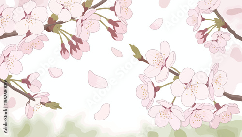 Delicate Cherry Blossom Branch & Falling Petals Background - Spring Nature Design