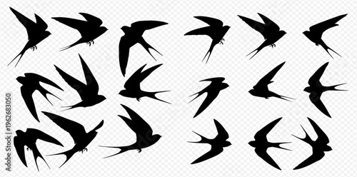 Set of black swallow bird silhouettes in various flying poses on a transparent background.