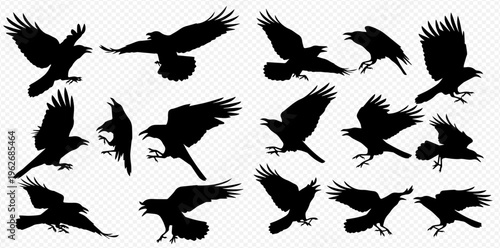 Collection of black crow and raven bird silhouettes in various flying and perching poses, isolated on a transparent background.