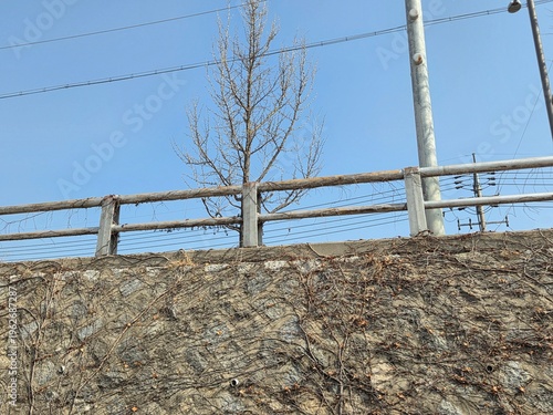 barbed wire fence