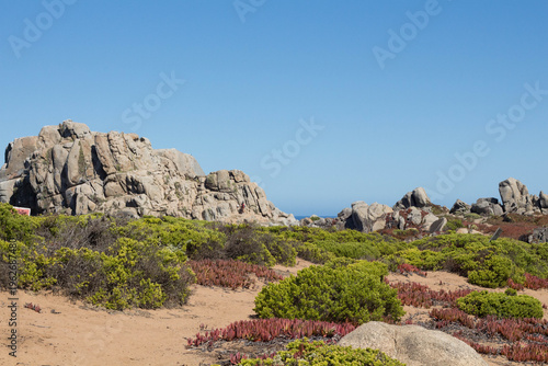 Granite rock formations and coastal vegetation at Piedra del Trueno peninsula, Punta de Tralca, Chile