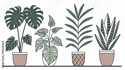 Minimalist collection of four various green houseplants in ceramic pots for interior decoration