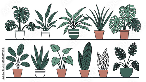 Minimalist Flat Vector Illustration of Various Green Potted Houseplants on Black Shelves