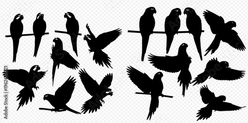 Set of various parrot silhouettes in different poses, including sitting, flying, and perched on a branch, isolated on a transparent background.