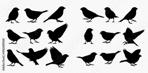 Collection of bird silhouettes in various poses, including flying and standing, on a transparent background.
