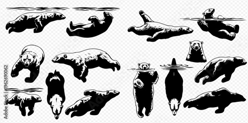 Set of black and white polar bear silhouettes in various poses, including swimming and standing, on a transparent background.
