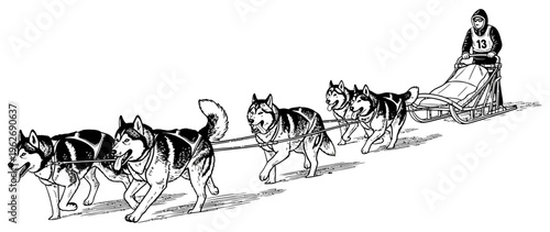 Person sledding with a team of five dogs in harness through a snowy landscape