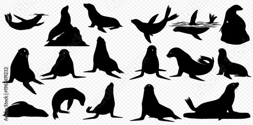 Collection of various seal and sea lion silhouettes in different poses, showcasing marine mammal diversity.