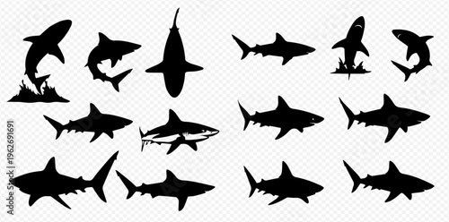 Set of various shark silhouettes, including great white and hammerhead, in different poses and angles, isolated on transparent background.