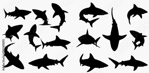 Collection of various shark silhouettes in different poses and species, isolated on a transparent background, depicting marine life and predatory fish.
