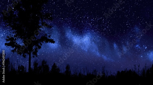 Night sky view over tree silhouette illuminated by numerous stars