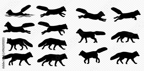Set of Fox Silhouettes in Various Poses: Running, Walking, and Jumping.