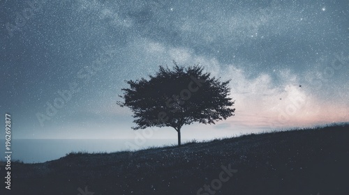 Silhouette of a lone tree against a dusky sky with visible stars