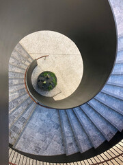 Tableau sur plexiglas Escaliers Escalier en spirale vu du dessus plante verte  © Sarah