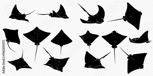 Set of various manta ray and stingray silhouettes, aquatic animal collection isolated on transparent background.