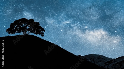 Silhouette of a tree against a starry night sky landscape scene