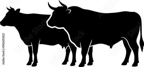 cow and bull sex, farm animals, icon, vector illustration