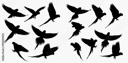 Collection of flying parrot silhouettes in various poses, isolated on a transparent background, depicting tropical birds in flight.