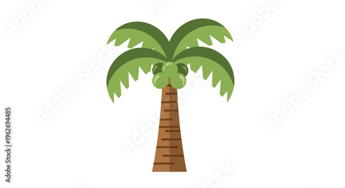 Palm tree with green leaves standing.