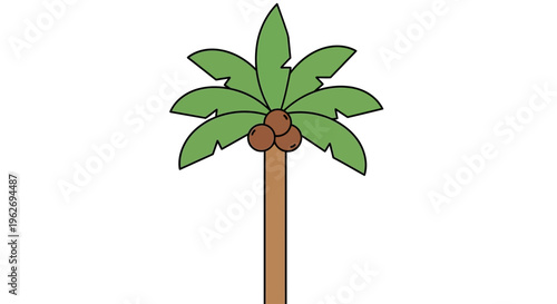Palm tree with green leaves.