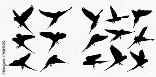 Set of flying parrot silhouettes in various dynamic poses on a transparent background.