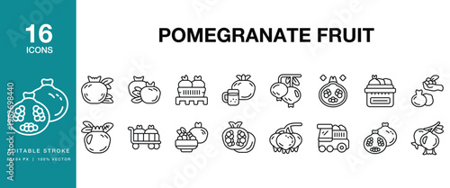 Pomegranate Fruit icon set. Includes pomegranate, seeds, fruit, food, fresh and More. Editable Stroke Icon Collection.