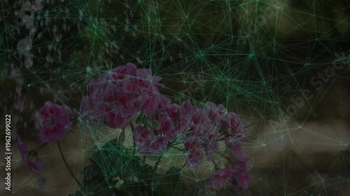 Digital mesh pulsing over pink hydrangea with water cascading and revealing moisture data effect