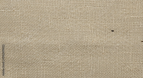 Light Brown Fabric Texture