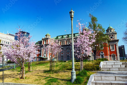 桜の季節