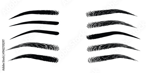 A collection of 8 different eyebrow shapes and styles for makeup and design inspiration