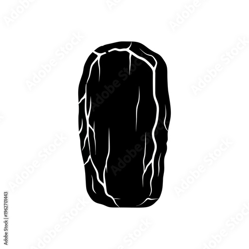 A black, elongated oval shape with white crack-like lines, resembling a stylized, ancient scroll or a dried fruit like a raisin