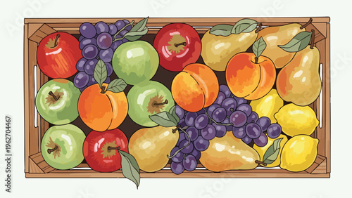 Fresh Fruit Crate Display - Healthy Organic Produce for Sale, Market & Grocery Stock