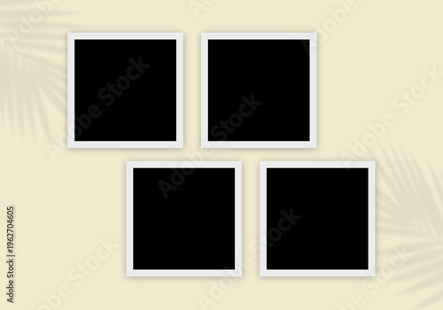 Four Square Minimalist Blank Photo Frames Border on Aesthetic Background