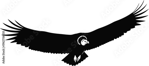 Black silhouette of a flying vulture for wildlife design projects
