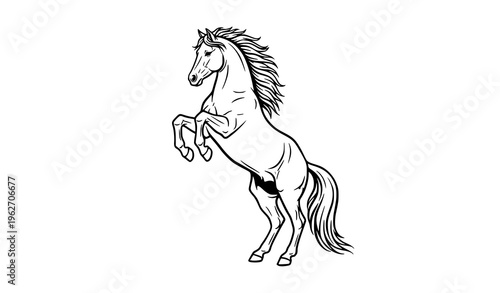 Rearing horse vector silhouette elegant stallion with flowing mane isolated design