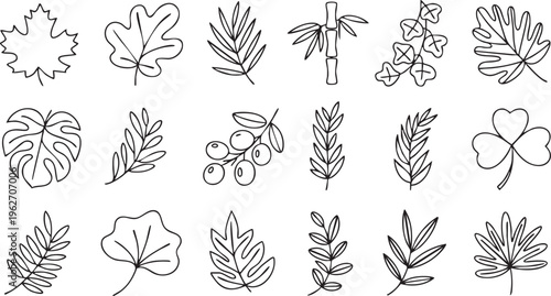 Plant And Leaf Icons With Botanical Foliage And Natural Design